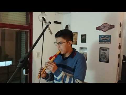 Pe4enkata - Petar Plet Plete (cover)
