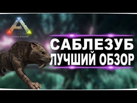 Саблезуб (Sabertooth) в АРК. Лучший обзор: приручение, разведение и способности в ark