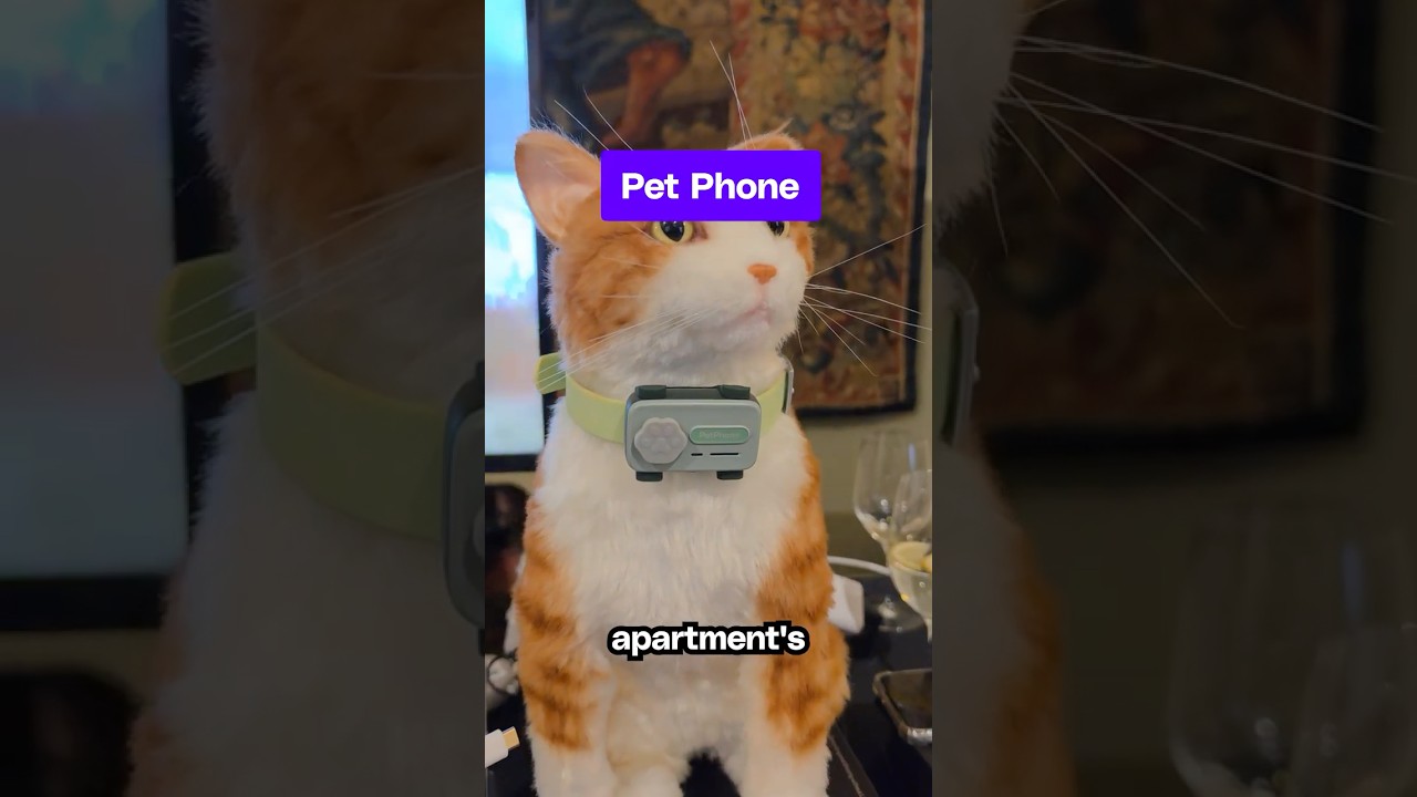 Would you get this for your pets? I think my dog would call too much and my cat would block me.