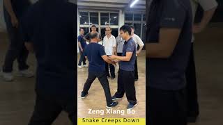 Tai Chi Snake Creeps Down demonstration thumbnail