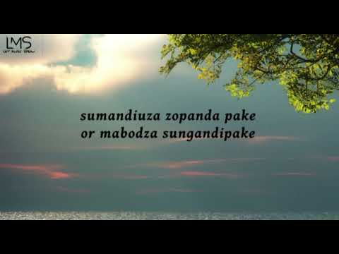 Chargie _Wanna Know lyric video (Dream Lights Creations)