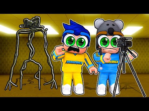 DON'T MOVE IN ROBLOX BACKROOMS - Brancoala Games