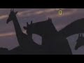 Our Planet Nature National Geographic Documentary 2021 Lions Wildlife Animal 2021