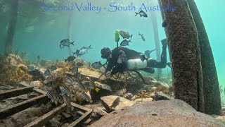 Diving Second Valley South Australia