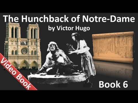 Book 06 - The Hunchback of Notre Dame Audiobook by Victor Hugo (Chs 1-5)