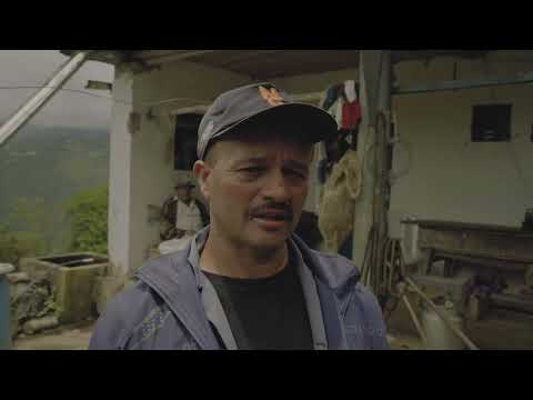 Plaza 20 de julio - Pura Plaza con Carolina Cuervo