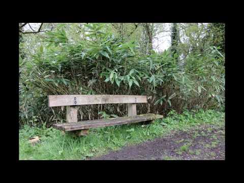 Jordyn Edmonds - "It Makes Me" ~Vlog Music Series~ [Episode #44]