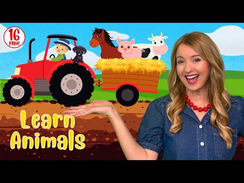 Old MacDonald Had A Farm | Kids Nursery Rhymes & Songs for Children
