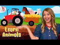 Old MacDonald Had A Farm Kids Nursery Rhymes Songs For Children