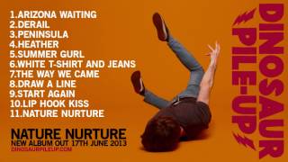 DINOSAUR PILE-UP - NATURE NURTURE Album Preview