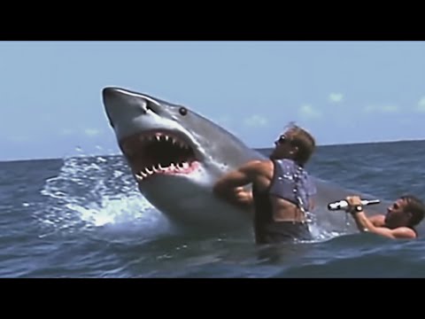 The Most INSANE And INCREDIBLE Moments Filmed at Sea!