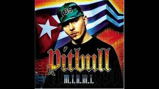 Pitbull Feat Bun B - Dirty
