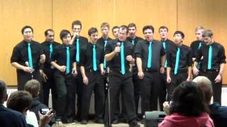 The Water Boys - Little Lion Man - a cappella