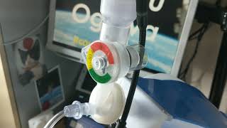 【長時間耐久テスト】研究室入室時の様子