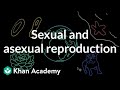 Sexual and asexual reproduction | Middle school biology | Khan Academy