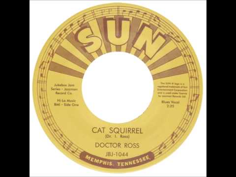 Dr. Ross - Cat Squirrel