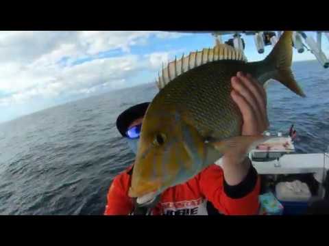 FISHING SHALLOW TEMPEST AND CAPE MORETON(BONITO-SPANGLED EMPEROR-MAC TUNA)