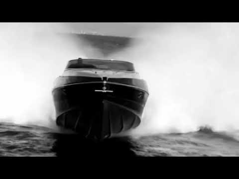 Performance 1501 - Kraft und Dynamik