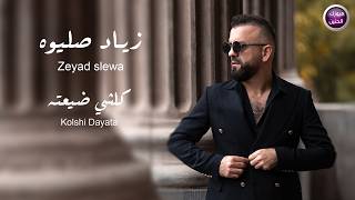 كلشي ضيعته - زياد صليوة