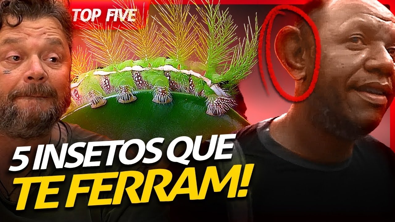 OS 5 INSETOS QUE TE FERRAM! | RICHARD RASMUSSEN