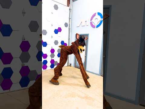 The deer has done this more than 4 times