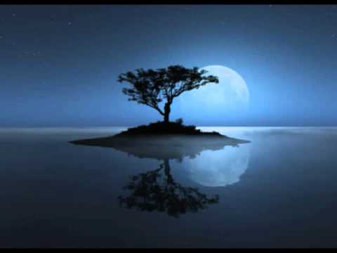 The Purpose of the Sabbath by Don Fortner