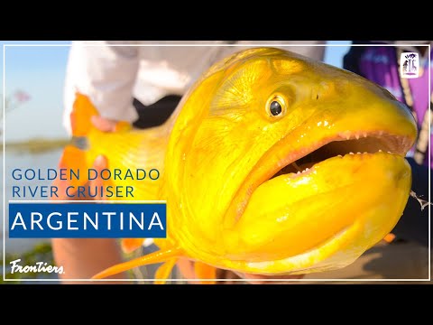 Golden Dorado River Cruiser | Argentina