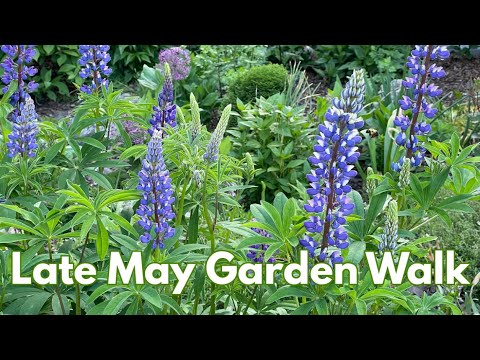 Deer-Resistant Favorites + Natural Pest Control Tips