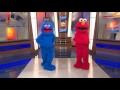 Sesame Street Live Performance
