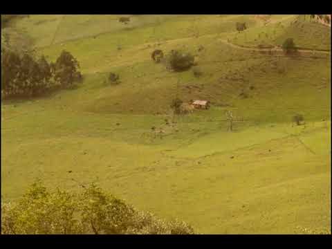 Casa Assombrada  - Dino Franco e Mouraí
