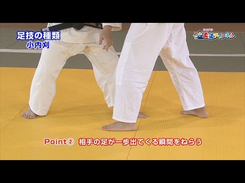 【足技の種類】柔道チャンネル／少年よ！技をみがけ！～柔道上達への道～