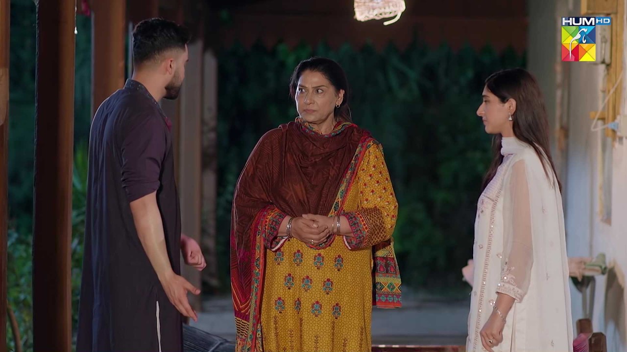 Usama Ki Biwi Se Tanhai Mein Kya Baat Hui..? #alishbakhan #mohsinabbashaider - Musafat - HUM TV