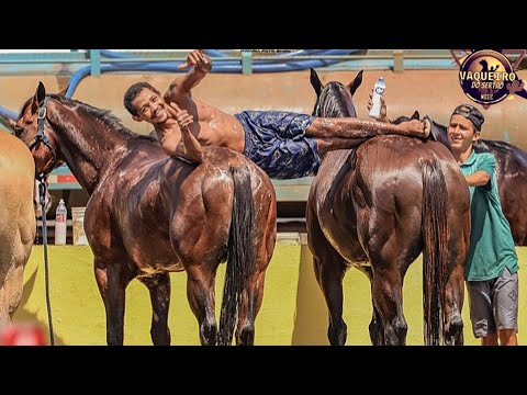 Rave E Vaquejada - Iguinho é lulinha - [Vaqueiro Do Sertão Music]