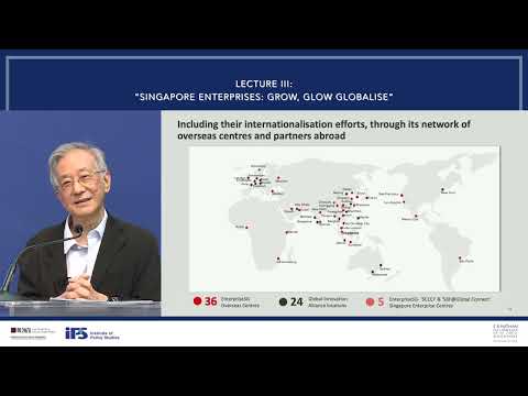 IPS Nathan Lecture by Mr Philip Yeo — Lecture III