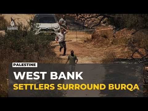 West Bank village under pressure: Settler attacks target its last remaining farmland