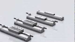 Пневмоцилиндр безштоковый