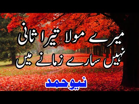 Mere mola tera Sani nhi sare zamane me/new hamd/2019 best hamd/lyrics hamd /Qari Qasid odisha