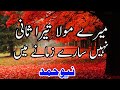 Mere Mola Tera Sani Nhi Sare Zamane Me New Hamd 2019 Best Hamd Lyrics Hamd Qari Qasid Odisha