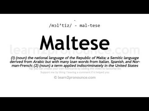 Pronunciation of Maltese | Definition of Maltese