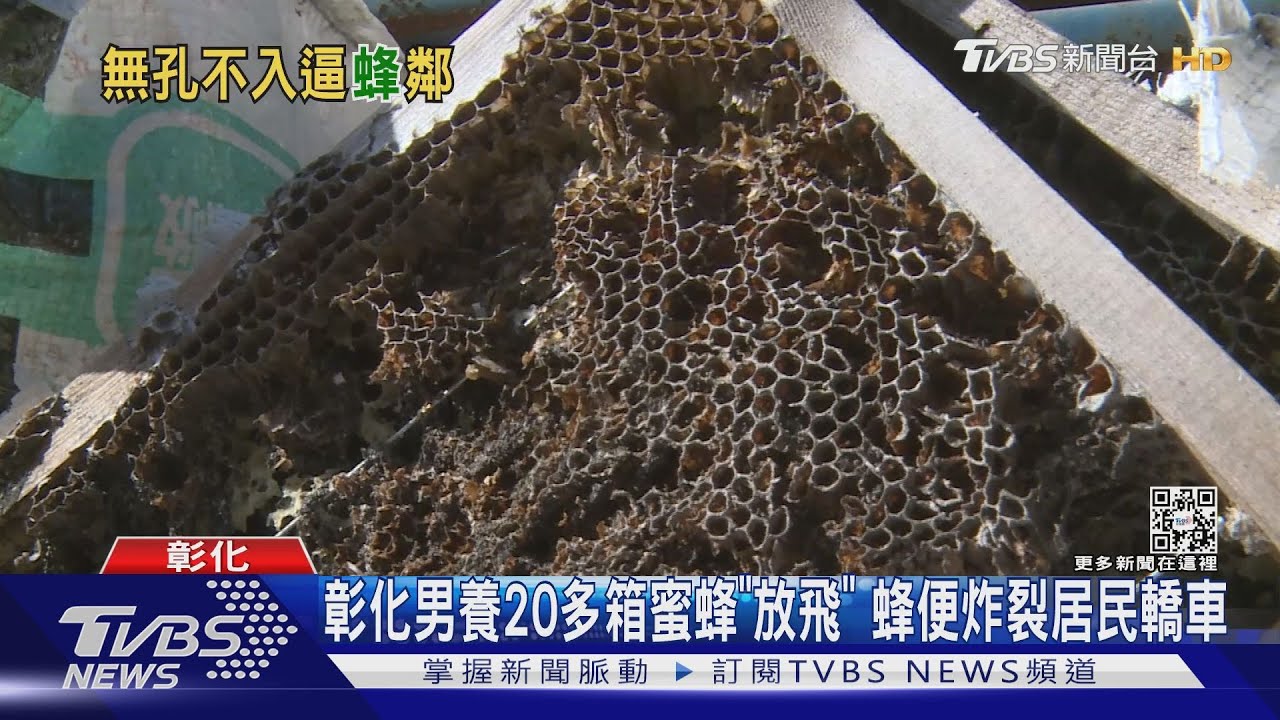 彰化男養20多箱蜜蜂「放飛」 蜂便炸裂居民轎車