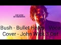 Bush - Bullet Holes - John wick 3 Ost - ( Vocal Cover )