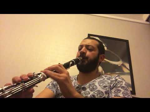 Her Mevsim İçimden Gelip Geçersin Klarnet Cover
