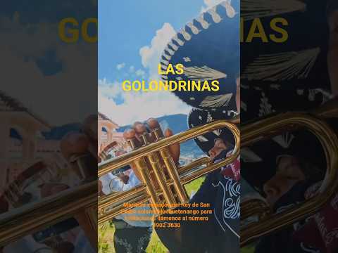 LAS GOLONDRINAS MARIACHI ENVIADOS DEL REY 👑 SAN PEDRO SOLOMA HUEHUETENANGO #mariachienviadosdelrey