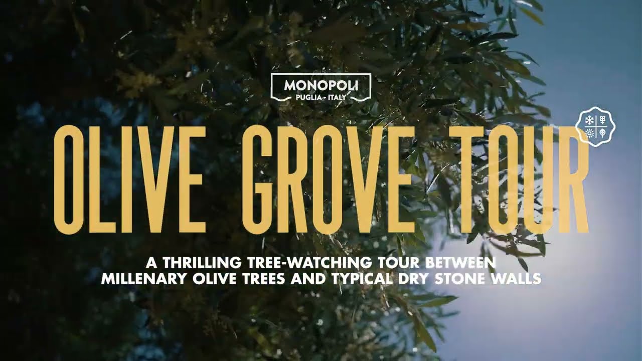 #EnjoyMonopoli | Olive grove tour