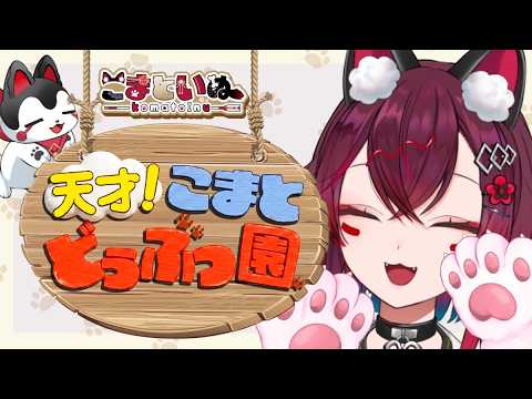 【 天才!こまとどうぶつ園 】リスナーのペット&出会った動物さん紹介!癒される日💗⛩ (#vtuber #こまといぬ )