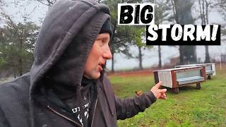 Livestock update after last night's storm