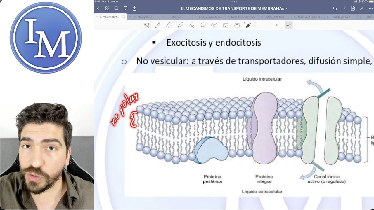Mecanismos de Transporte Transmembrana | Difusión y Transporte