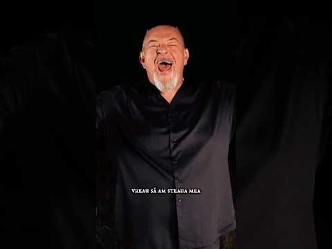 Voi ați ascultat acest #cover de la @PROCONSULvideo x @SabrinaStoica?🤯🔥 #rotonmusic #music