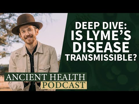 Deep Dive: Is Lyme’s Disease Transmissible?