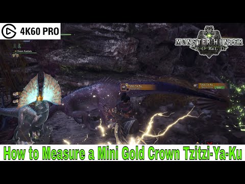 Monster Hunter: World - How to Measure a Mini Gold Crown Tzitzi-Ya-Ku Video